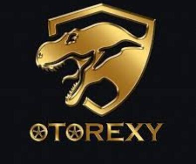 Franchise OTOREXY Car Wash and Detailing, Bisnis Cuci Mobil, Kemitraan Salon Mobil, Peluang Usaha Otomotif, Franchisee